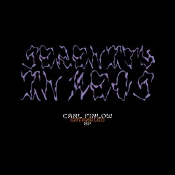 Carl Finlow - Entangled LP