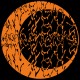 Carl Finlow - Entangled LP