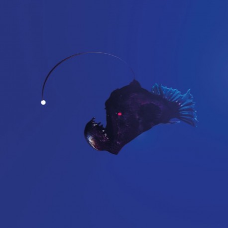 Michael Melchner - No Light Below