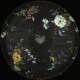 VID - Stereochord EP