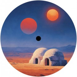 Various - Transient States. Feedback