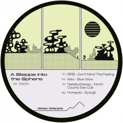 Various - A Steppe Into The Sphere