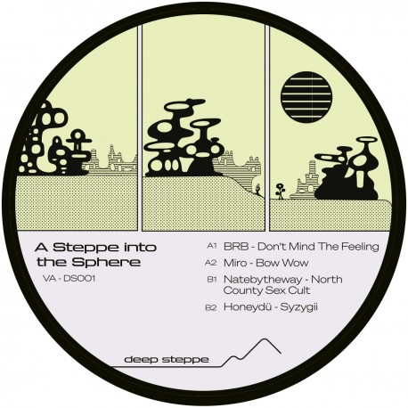 Various - A Steppe Into The Sphere