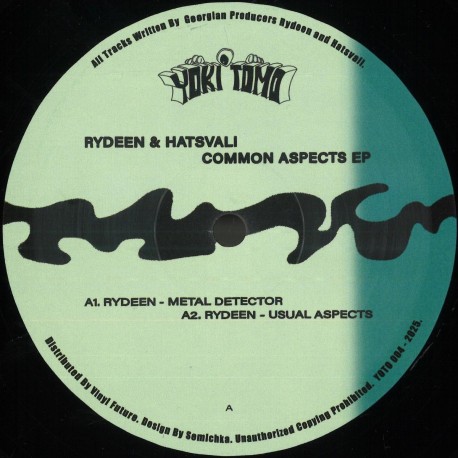 Rydeen & Hatsvali - Common Aspects EP