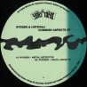 Rydeen & Hatsvali - Common Aspects EP