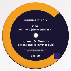 Various - Goodies High 5 EP