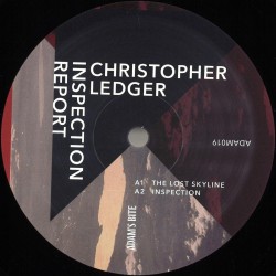 Christopher Ledger - Inspection Report