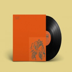 Various - More Jugaar