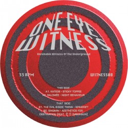 Various - WITNESS08
