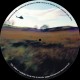 VRSION - PRZ11eleven