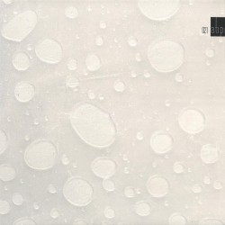 Lizz - Atipic 21