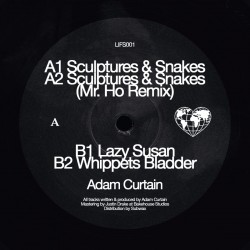 Adam Curtain - Sculptures & Snakes EP