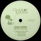 Andre Zimmer - Swamp Circuit EP