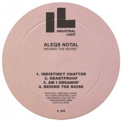 Aleqs Notal - Behind The Noise