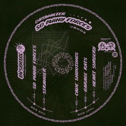 Dyswalter - So Many Forces