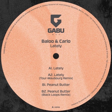 Baloo & Carlo - Lately