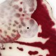 Fiona Zanetti - Red Light Therapy