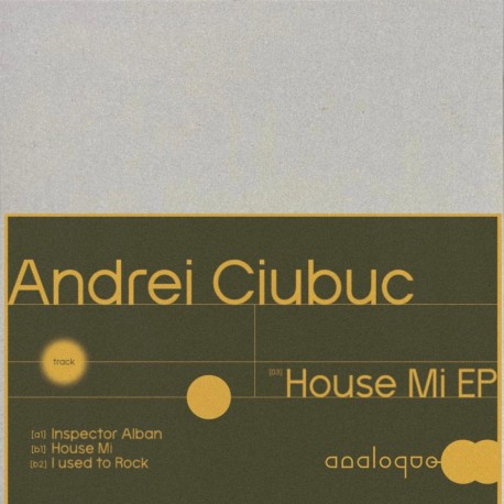 Andrei Ciubuc - House Mi Ep