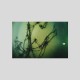 O.M.M., Omar Akhrif - Human Error Value EP