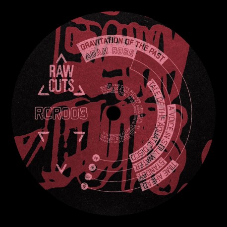 Adam Rose - Gravitation of the Past