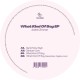 Andre Zimmer - What Kind Of Boy (inc. Massimiliano Pagliara Remix)
