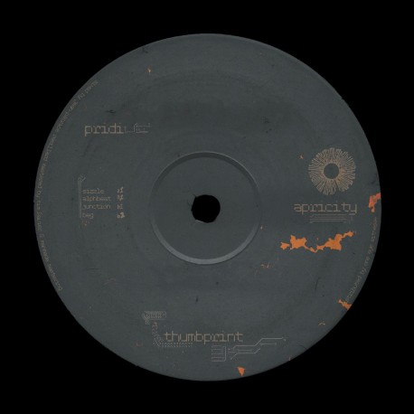 pridi - apricity