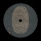 pridi - apricity