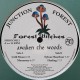 Forest Witches - Awaken The Woods