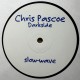 Chris Pascoe - Darkside