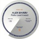 Alex Barbu - Paths Lead Inward