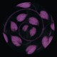 Sancra - The Pothos E.P.