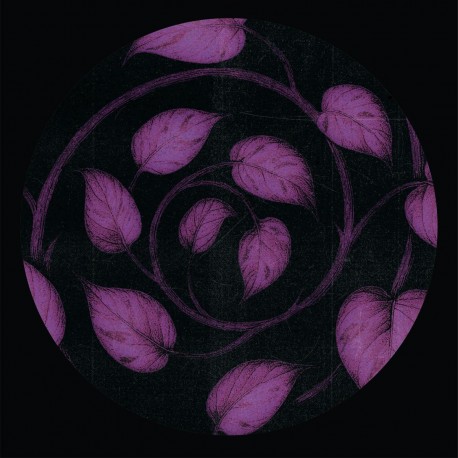 Sancra - The Pothos E.P.