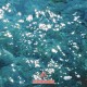 Various - Ensō series Vol 3 - まだ夏、どこか - Still summer, somewhere