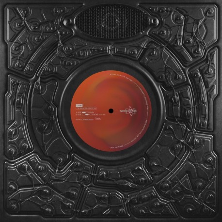 RDS – Dusk /Illusions