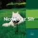 Nicola Cruz – Sifr LP 2x12"