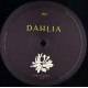 OuD!N / Phil Baker - Palomatic - Dahlia995