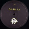 OuD!N / Phil Baker - Palomatic - Dahlia995