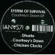 System Of Survival - Courtneys Dawn Ep
