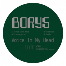 Borys - Voice In My Head
