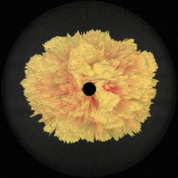 Adam Nahalewicz - The Fortune Teller Ep