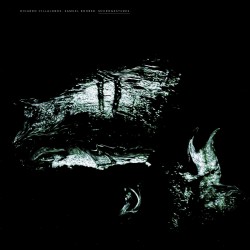 Ricardo Villalobos & Samuel Rohrer - MICROGESTURES 2x12"