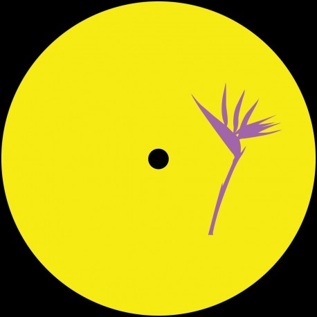 Costin Rp remix Floog - Things For The Soul EP