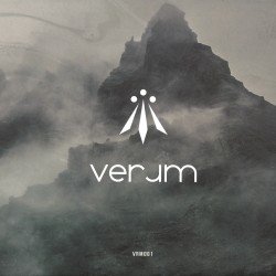 Various - VRM001