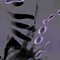 Roza Terenzi & D. Tiffany - Edge Of Innocence LP 2x12"