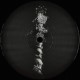 Various Artists - Last Heresy