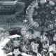 Bexu - Fractal Dreams Ep