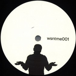 Unknown Artist - WSNTME 001