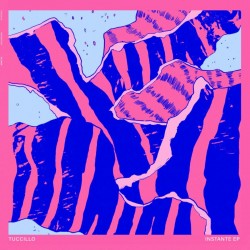 Tuccillo - Instant