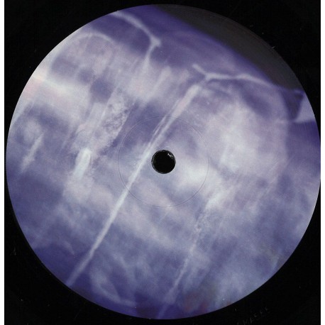 Setaoc Mass - Fortnight EP