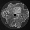 VØG - Metamorphosis